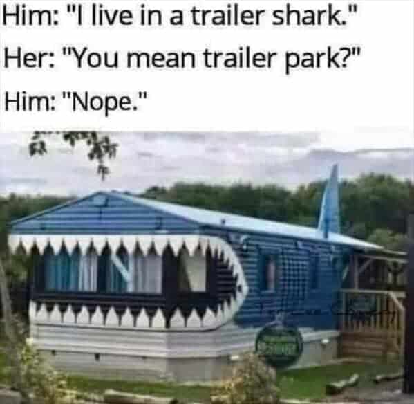 "Trailer shark life."
