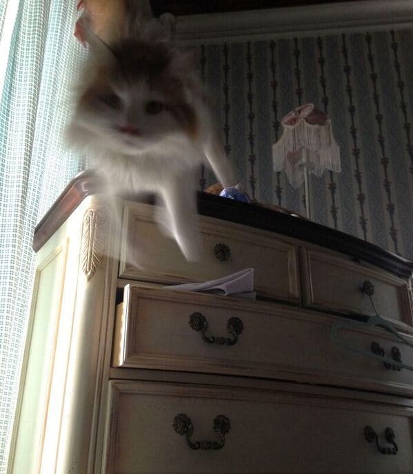 32. “The Moment Before I Got Attacked”