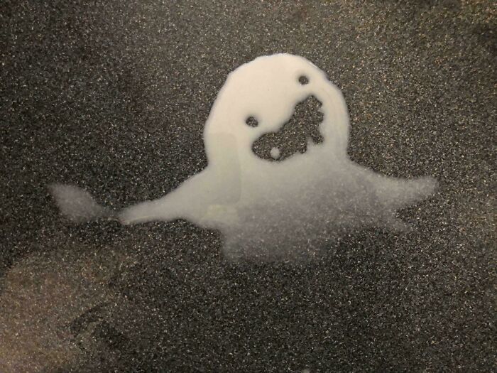 "I Spilled Some Milk And The Puddle Looks Like A Derpy Ghost!"