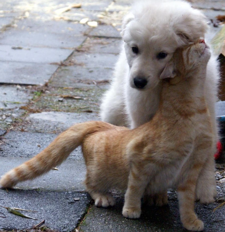 7. "When Your Bond Glows with Love's Light"