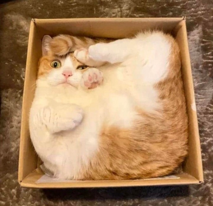 3.
