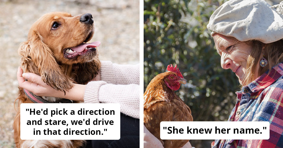 Your Pet Might Be Smarter Than You — And Here’s The Proof