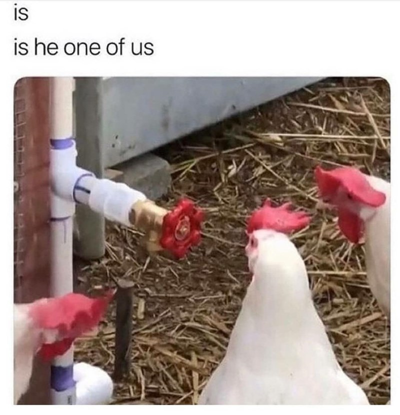 27. He looks... different