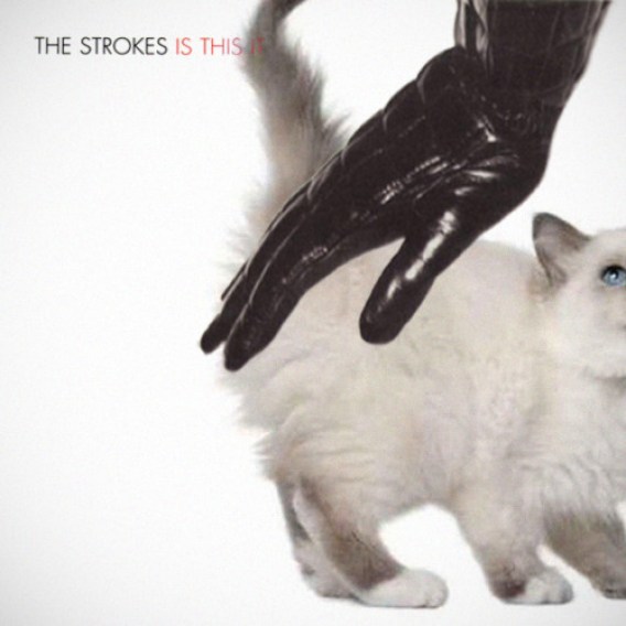 36. The Strokes as a cat.
