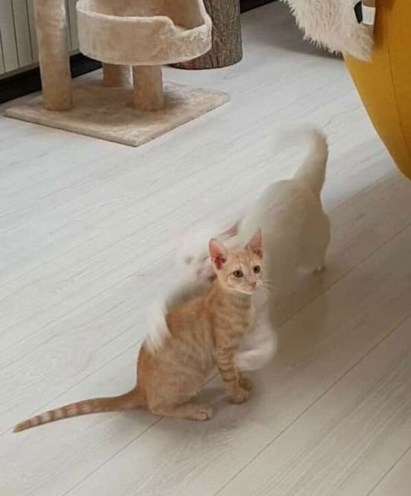 17. “A Second Before ⁠”