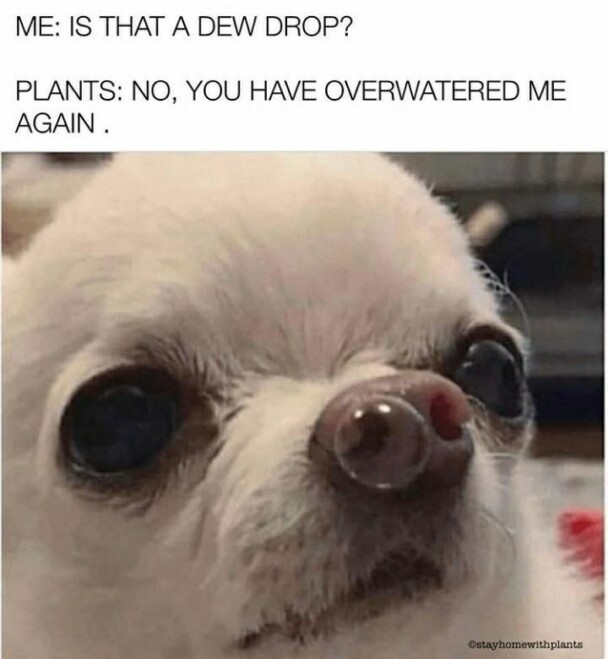 22. It has to go somewhere.