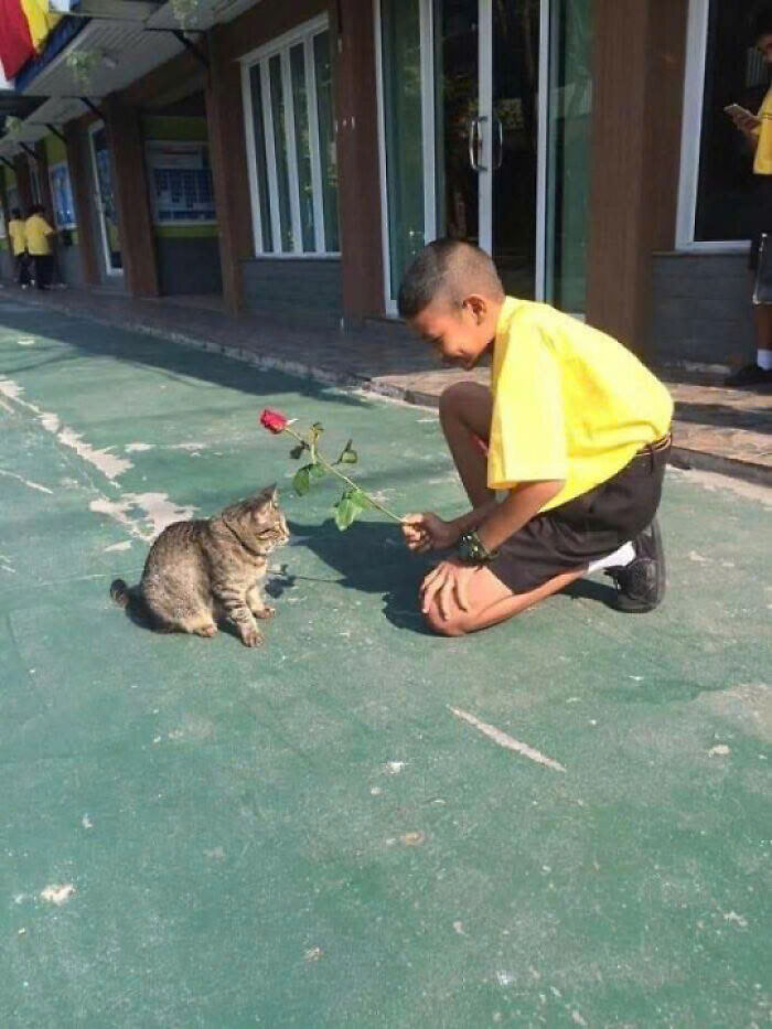 7. A rose for a cutie