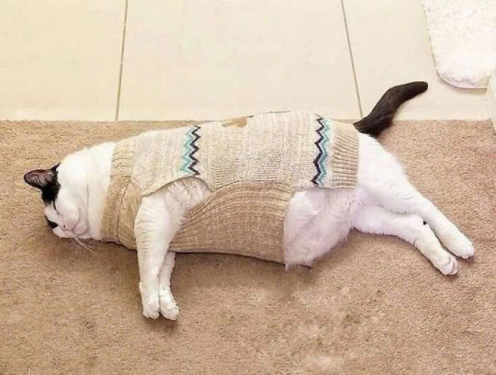 17. I'm exhausted