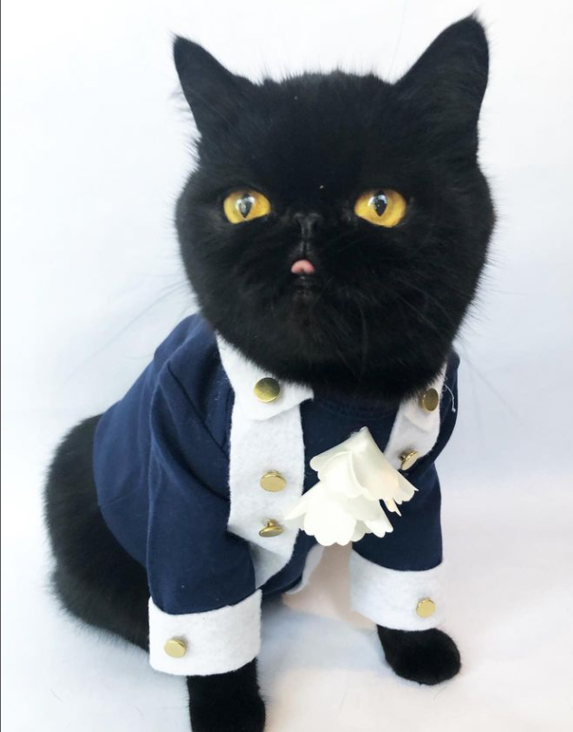 "I may not live to see our glory. But I will gladly join the fight. "