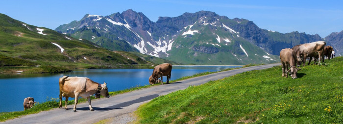 Switzerland Facts About Daily Life and Its Quirks