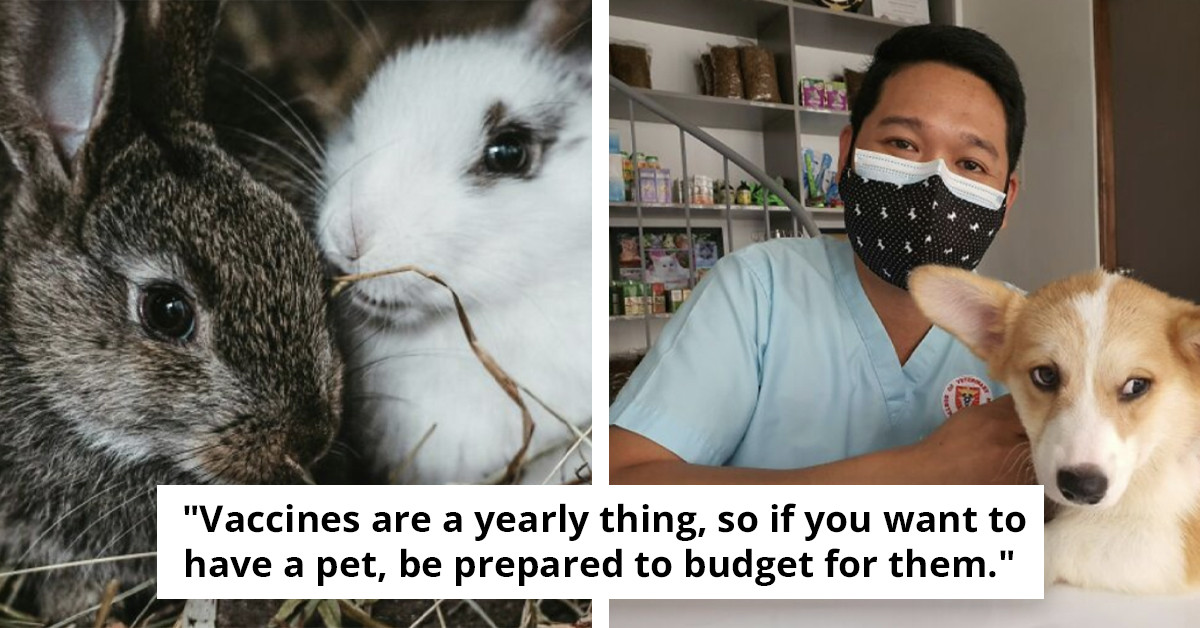 So You Want A Pet That Fits Your Life? 46 Candid Warnings You’ll Be Glad You Read First