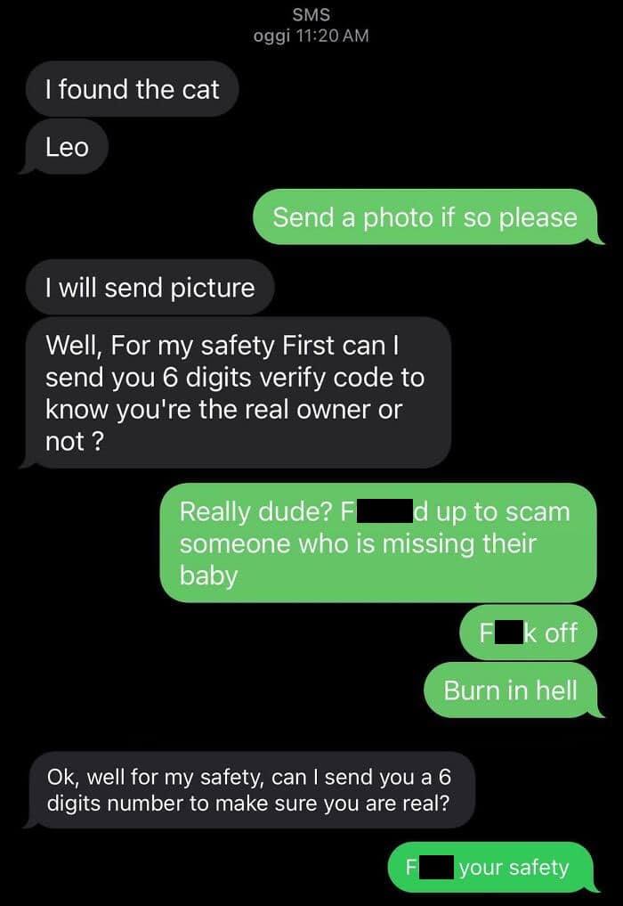 13. "Most Common Lost Pet Scam (Verification Codes)"