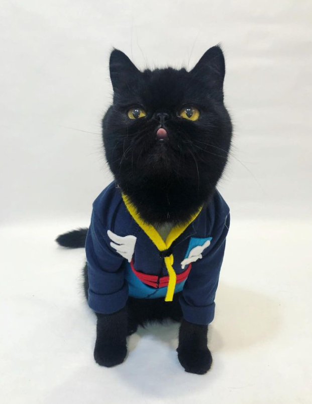 "Willow as Ted Lasso! And Willow making biscuits as fast as she can when I told her we could have used them as a prop for the photo shoot! 😹⚽️"