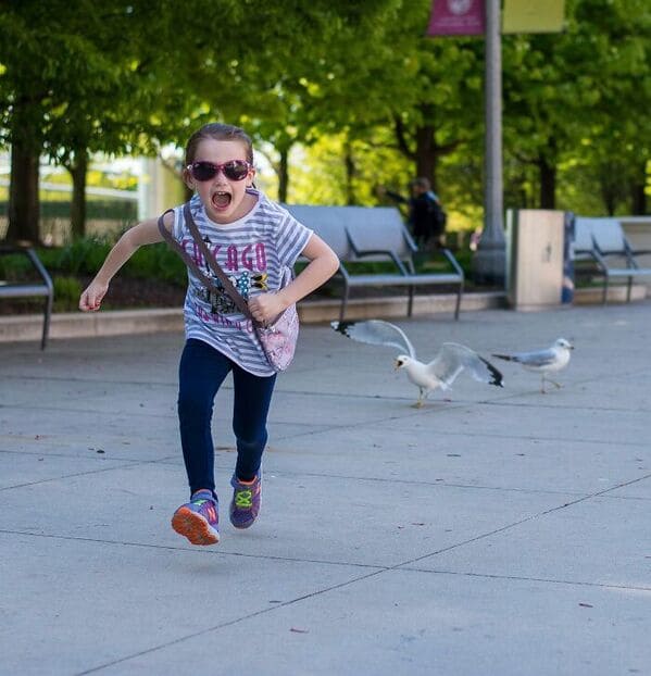 16. “My Niece Likes To Chase Seagulls. The Seagulls In Chicago Chase Back”