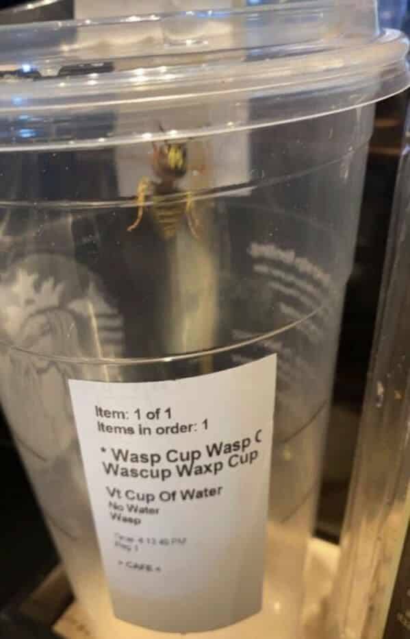 17. "One wasp, please."
