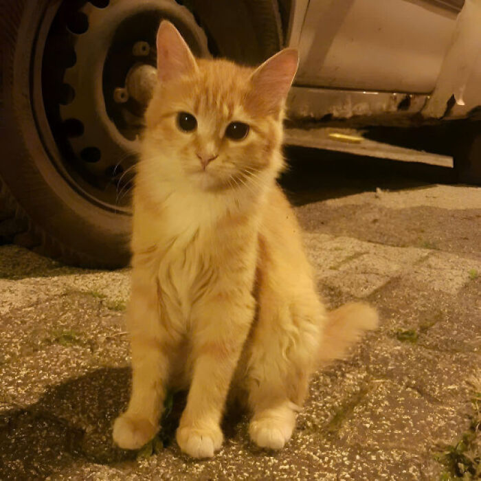 9. Are you going to feed me or what?
