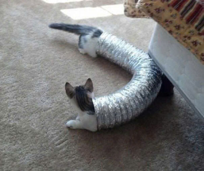 12. It's not what it looks like
