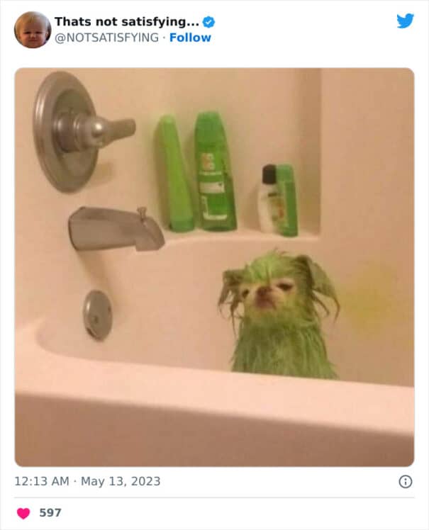 "She stole his dog and dyed it key lime green."