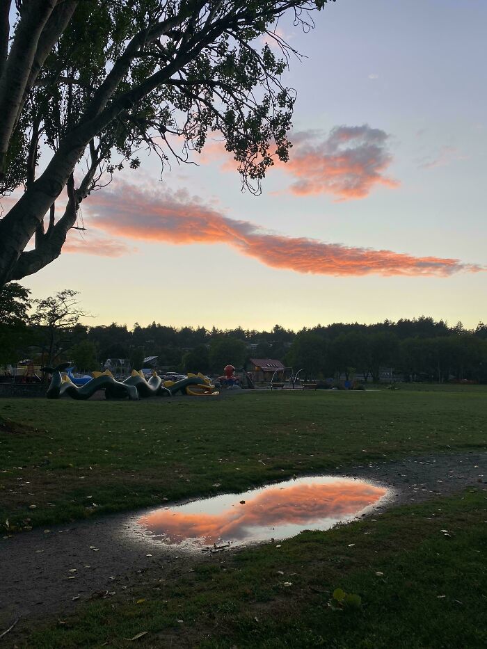 "The Way This Cloud's Reflection Fits in the Puddle"