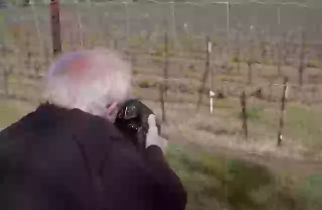 The photo was taken somewhere between St. Helena and Marin County, California.