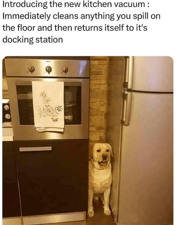 40. I'd like to order one, please