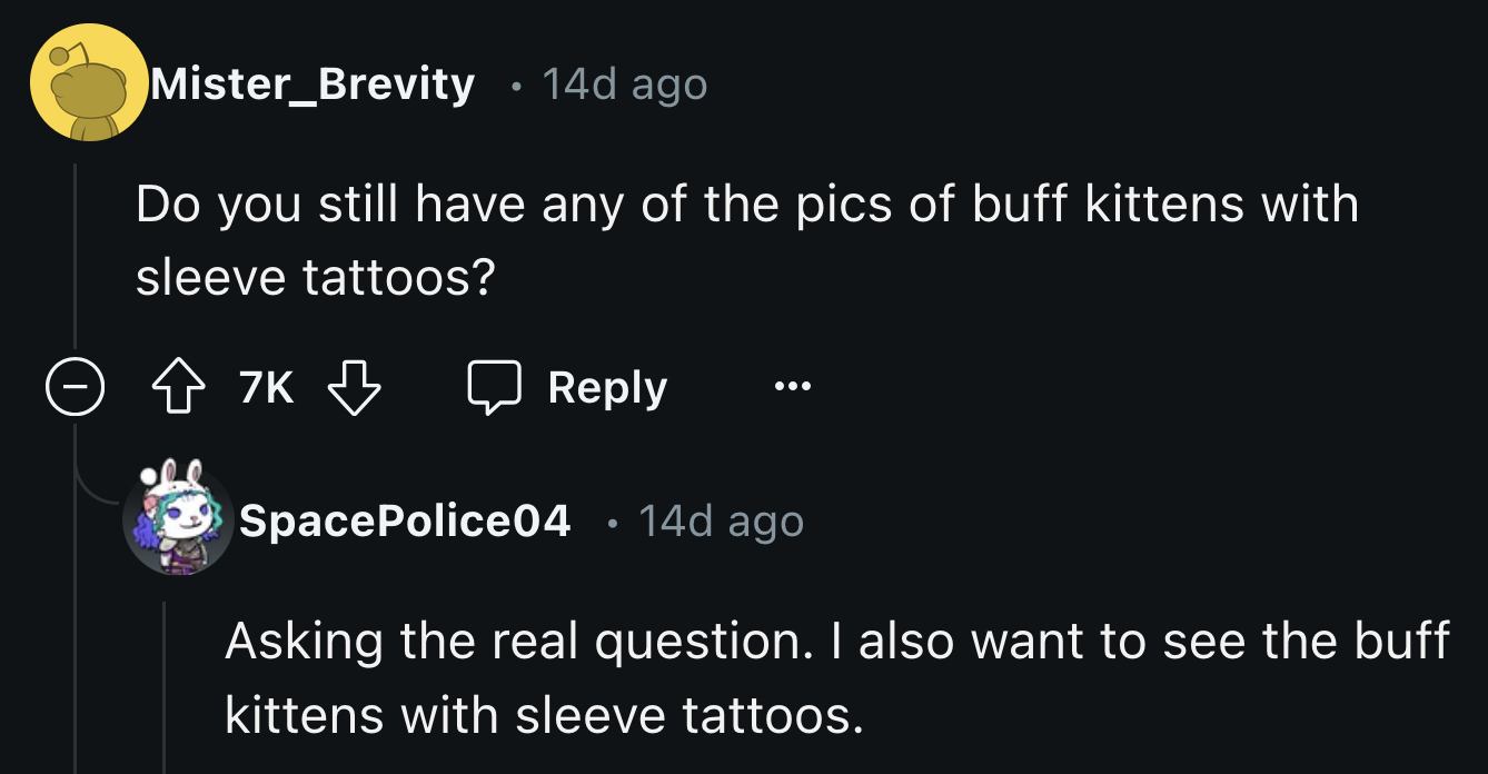 True to their reputation, Redditors focused on asking the most important question. But OP didn't respond to the request for buff cartoon kitten tax.