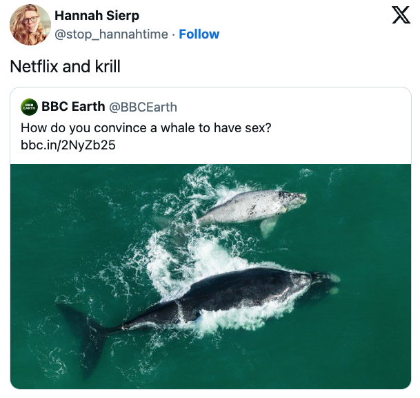 Now that was clever.