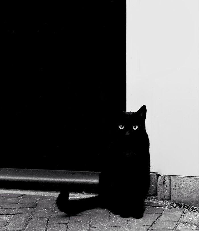 Silver, Photo By Arnold Plotnick (Amsterdam, North Holland)