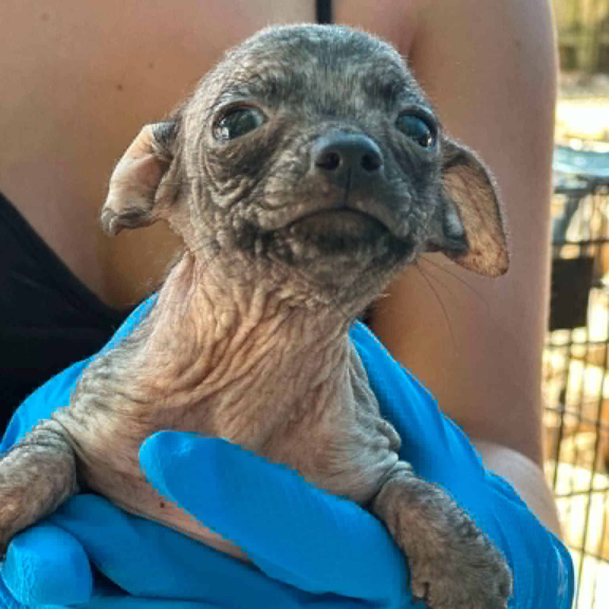 The first days of recovery