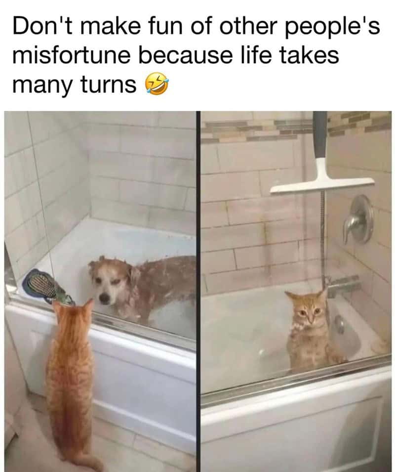 9. My turn vs. your turn