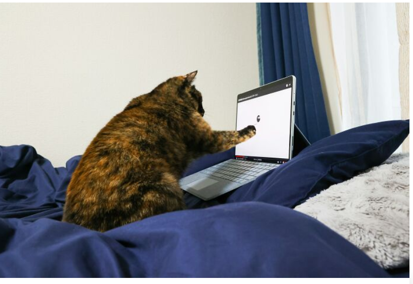 46. “Proof that working from home was really their idea all along.”