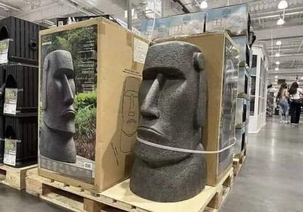 "Bimmy's new garden ornament."