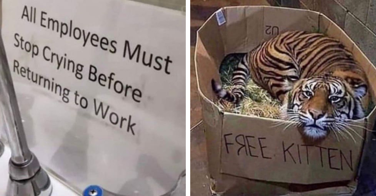 40 Hilarious Images That Make You Wonder About The Backstory