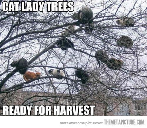 This is actually too funny because I know a few people who would love to grow one of these if they were a real thing.