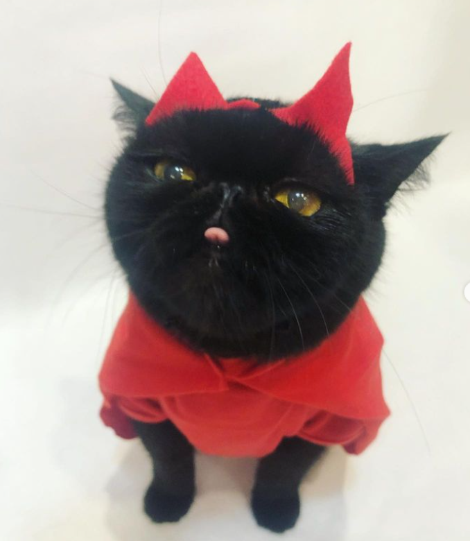 "Scarlet witch! 💥 I struggled to account for Willow’s circular face when making this headpiece! 🤣"