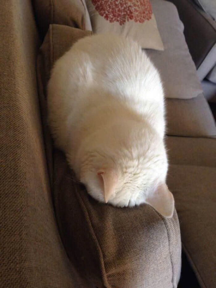 19. I'll just lay here