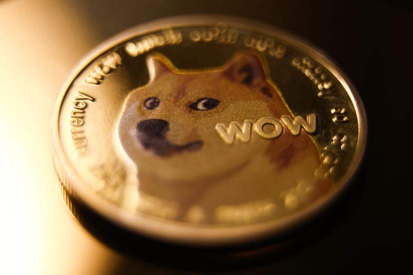 Kabosu's picture is the face of Dogecoin, a cryptocurrency that started as a joke back in 2013. Someone even bought a photo of the Shiba Inu as an NFT for $4 million, showing just how much impact it has.