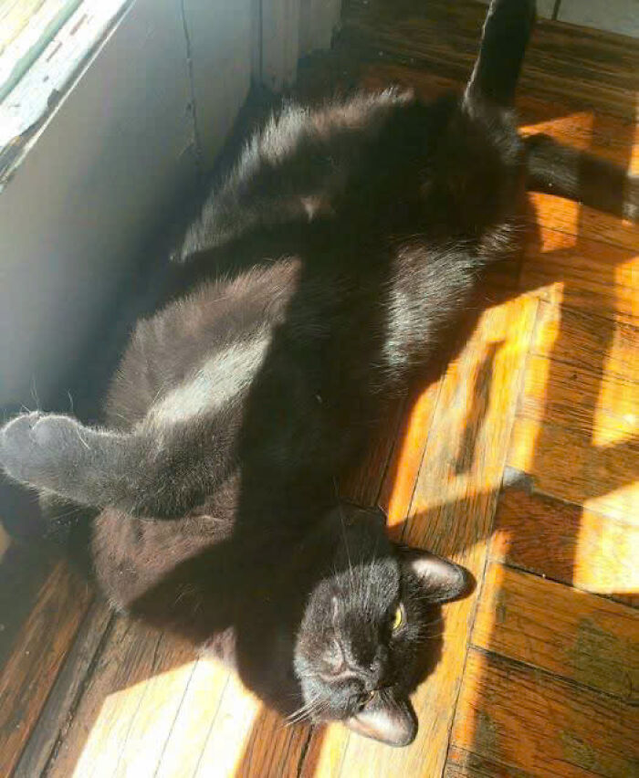 46. Getting a bit of sun