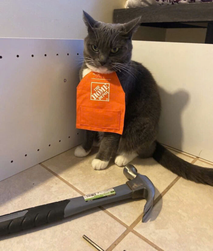 42. Your order has arrived