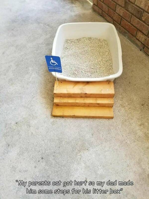 "My parent's cat got hurt, so my dad made him some steps for his litter box."