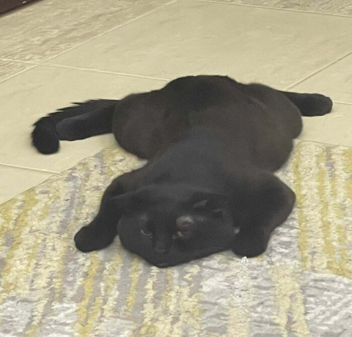 45. Someone Told Me You Guys Would Love Honey! He Loves This Position