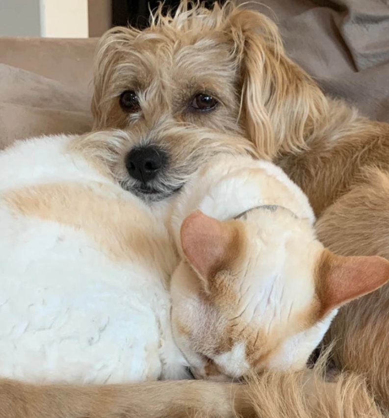 3. "It's a new sight for me—him using her as his pillow."