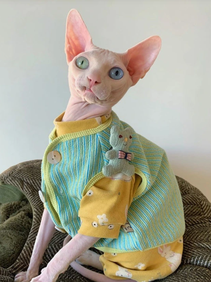 17. "Bare and Bold: The Tale of the Homeless Sphynxes"