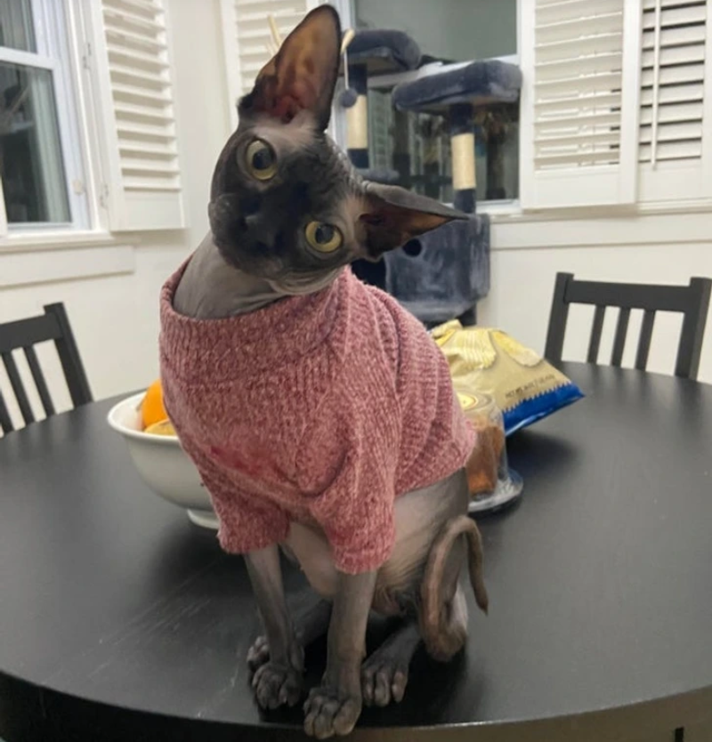 14. "Look at My Top Crop"