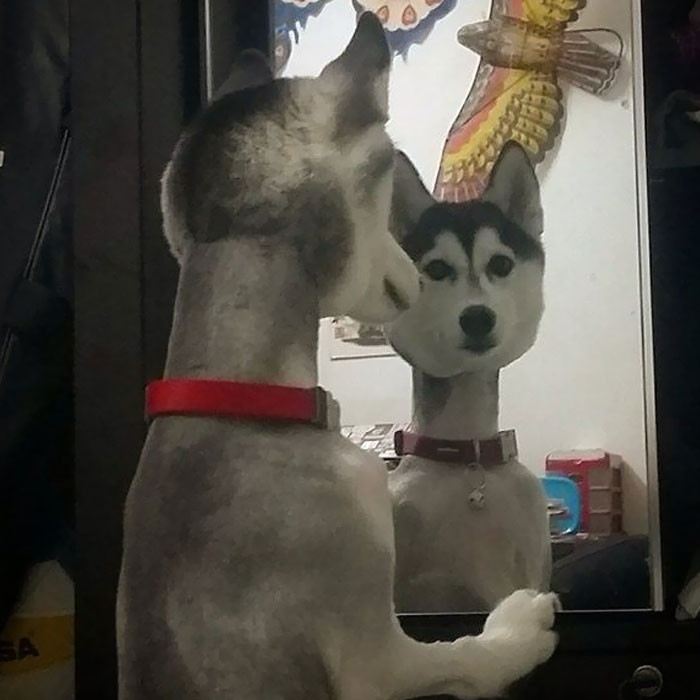 24. 10 hours in deep existential crisis.