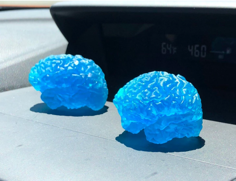 17. "I extracted MRI images of both my husband's and my brains, and he used them to 3D print replicas."