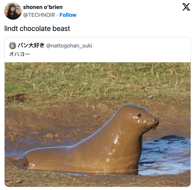 I can't tell if this looks delicious or not.