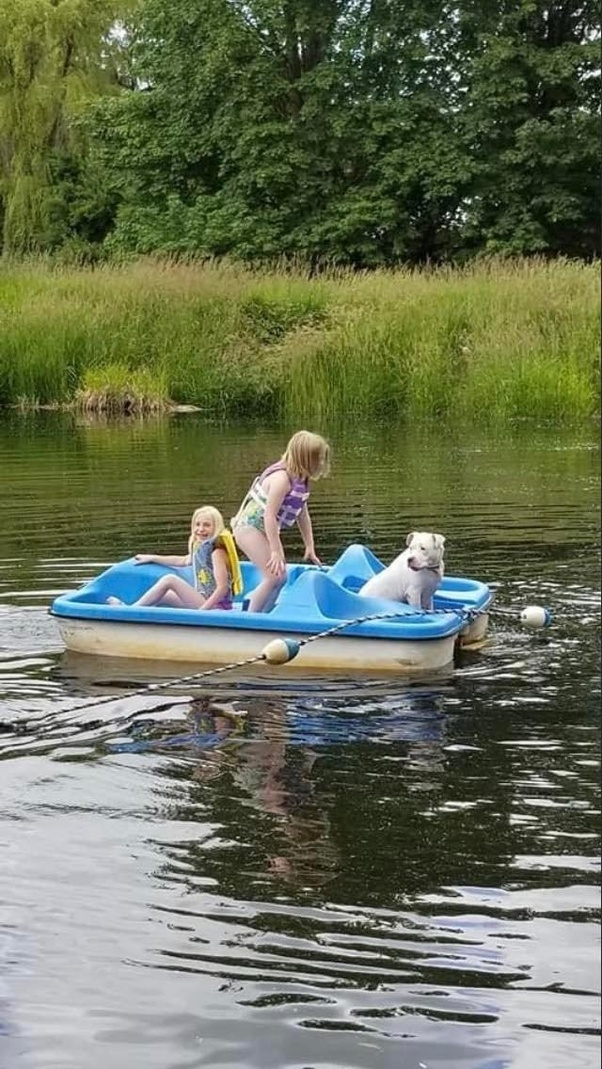 She can even trust her dog to be around her granddaughter.