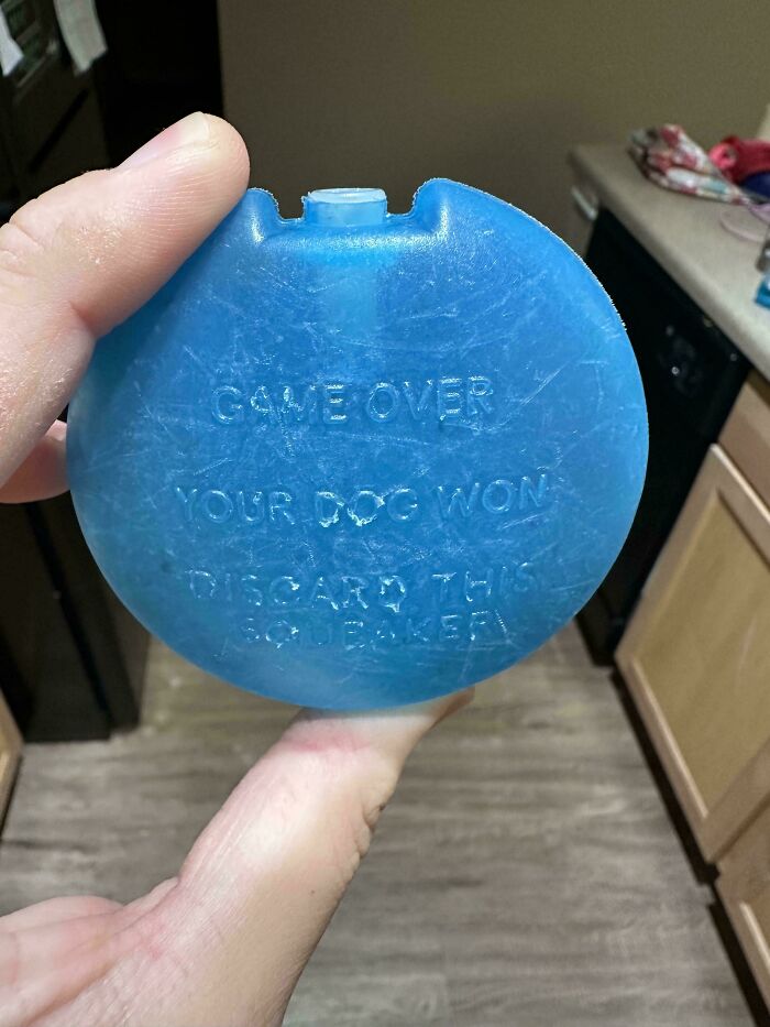 "My Dog Ripped Open His Chew Toy And This Was Written On The Squeaker"