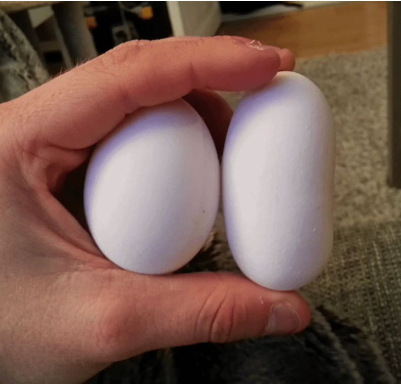 15. "I discovered this odd egg in the carton."